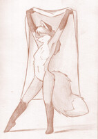 Fox with a blanket