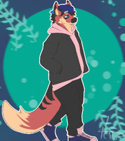 Another cold morning