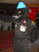 Devo'ed raven!