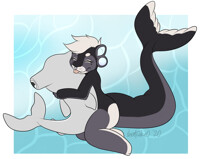 Shark cuddles