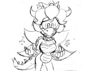 Koopa Sonic transformed