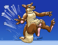 Skarios Roo - bounce!