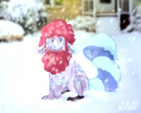HAPPY HOLIDAYS