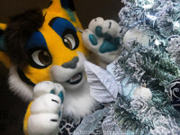 🎄