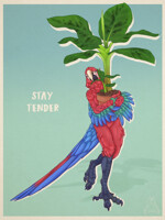 Stay Tender