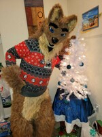 2020 Christmas Wotter 1