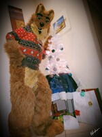 2020 Christmas Wotter 2