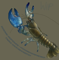 Yabby Study (detail from other work)