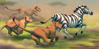 The hunt