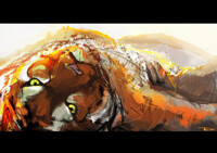 sneaky tiger wanna play :E