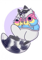 Pansexual Racoon