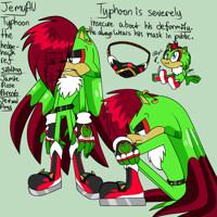 Jemy AU: Typhoon the hedgehawk finalized ref