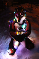 New year nightmare