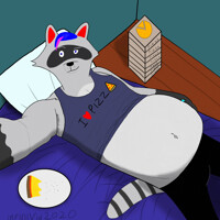 Pizza Raccoon