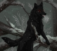 PA: │ Soul in the thicket │