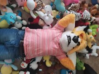 GB the king of stuffed animals/ GB el rey de los peluches