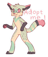 Choco chip mint kitty adoptable - CLOSED