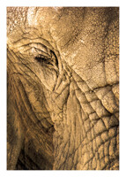 Weathered