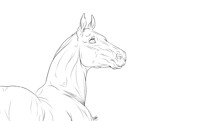 Free Lineart