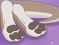 Kelani Paws 2016