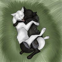 Snuggled Up ~
