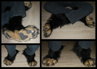 Gryphon Feet