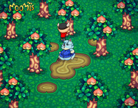 Peaches for Whitney [P.4]