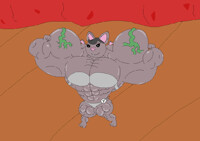 the competitor of Veronika