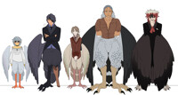 Harpies