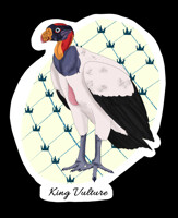 King Vulture