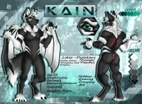 Kain Reference 3