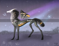 ADOPT dragon (CLOSED)