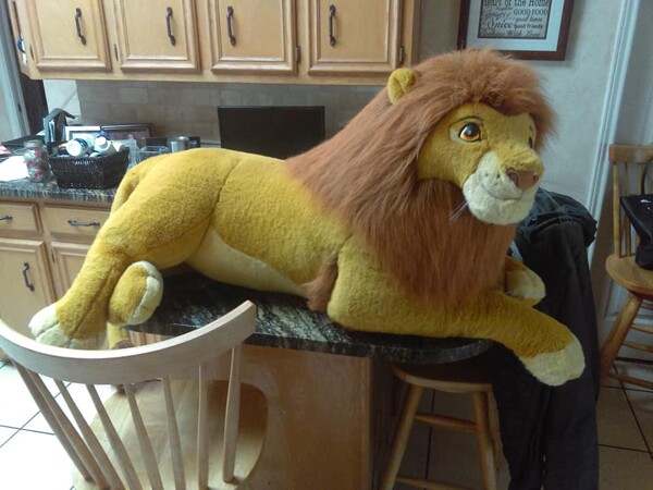 Douglas hot sale simba plush