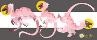 25$ OPEN Raptor Strawberries Adopt