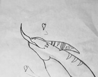 Concerto’s first dragon prey(part 2)