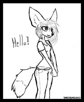 hello fennec fox