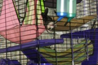 lazy ferr't drinks upside down