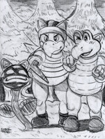 cat bois