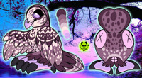 Sleepy Barred Owl design