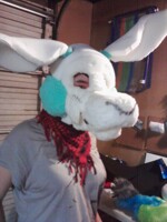 Roo WIP 1