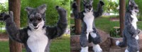 Jak_The_Wuffle (Realistic Wolf)