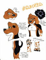 Skiota Reference Sheet 2010