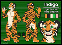 Reference Sheet - Indigo