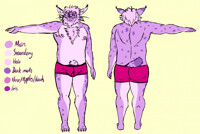 Fursona Reference