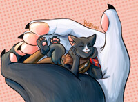 here, i have this kitty