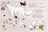 [C] Hilfy's reference