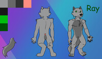 Ray ref sheet 2021