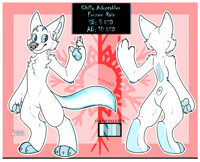 Chilly Adoptables | Frozen Rain