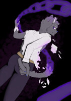 Beware the black cat