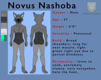 Nashoba Ref Sheet